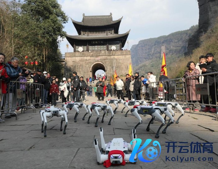 机器狗们亮“绝活”