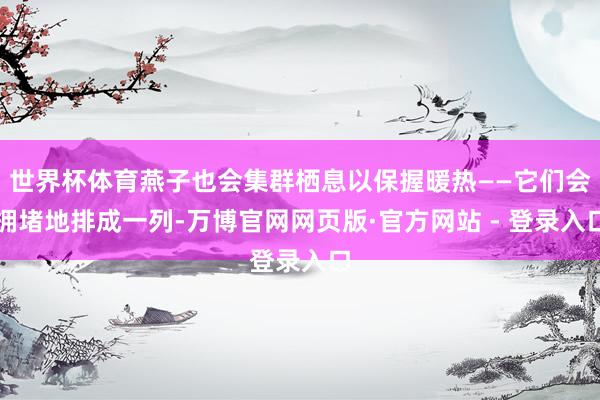 世界杯体育燕子也会集群栖息以保握暖热——它们会拥堵地排成一列